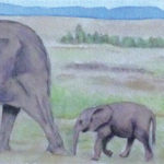 Dessin/Peinture
