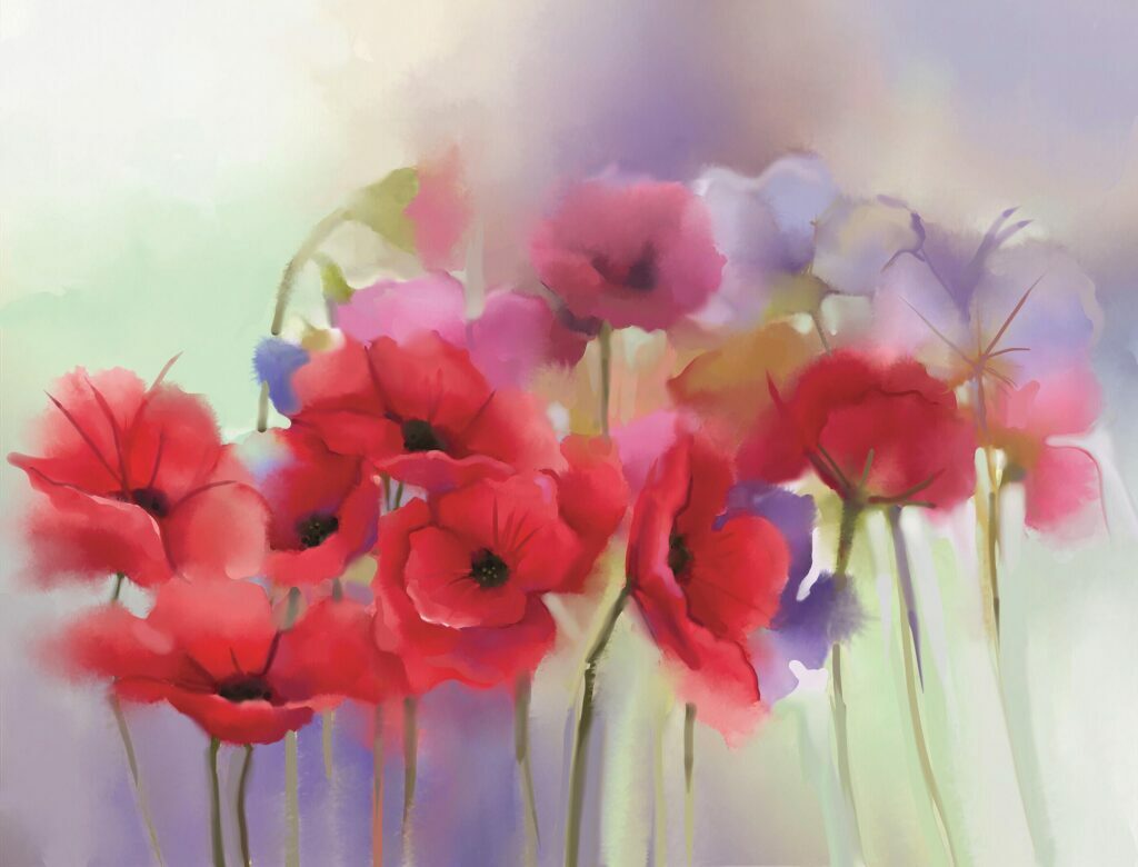 Watercolor red poppy flowers painting. Flower paint in soft color and blur style, Soft green and pupple background. Spring floral seasonal nature background